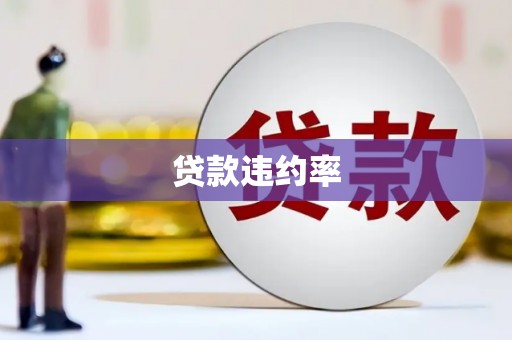 泰宁贷款违约率