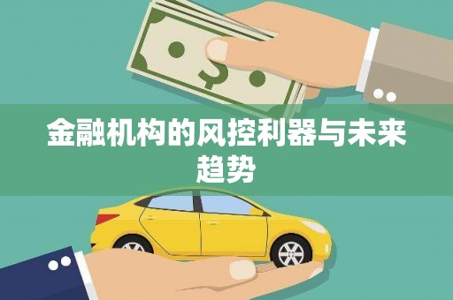 泰宁金融机构的风控利器与未来趋势