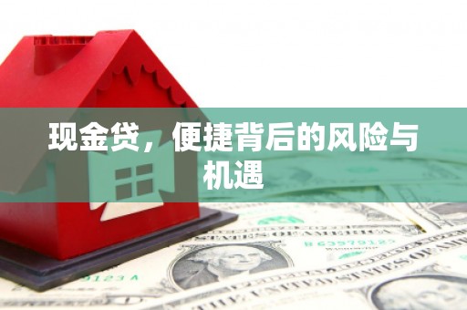泰宁现金贷，便捷背后的风险与机遇