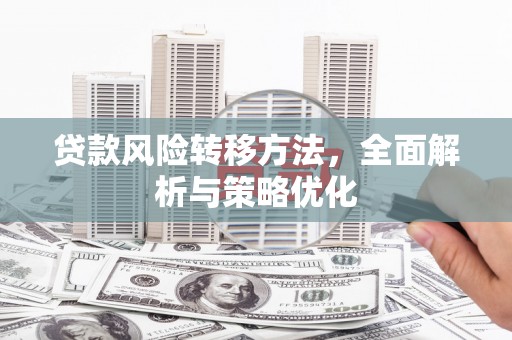 泰宁贷款风险转移方法，全面解析与策略优化