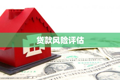 泰宁贷款风险评估