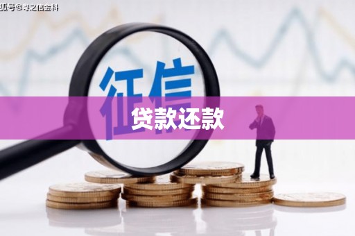 泰宁贷款还款