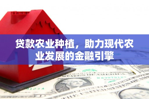 泰宁贷款农业种植，助力现代农业发展的金融引擎