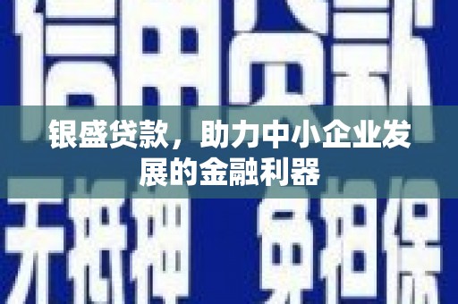 泰宁银盛贷款，助力中小企业发展的金融利器