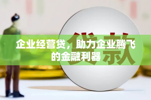 泰宁企业经营贷，助力企业腾飞的金融利器