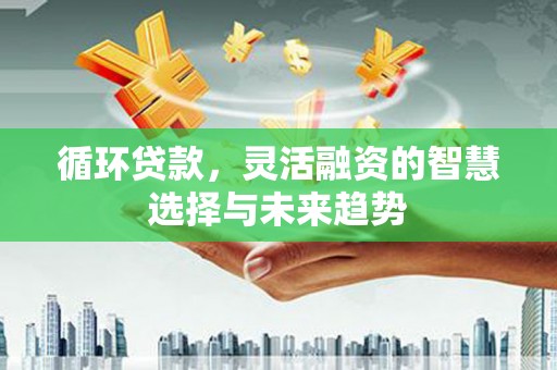 泰宁循环贷款，灵活融资的智慧选择与未来趋势
