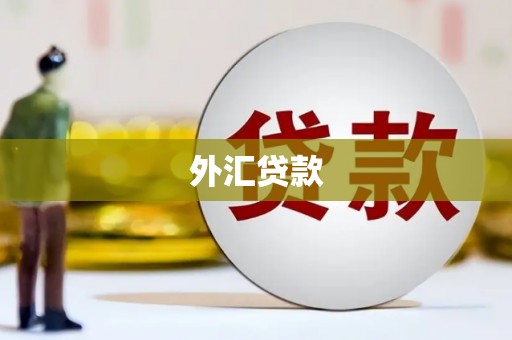 泰宁外汇贷款