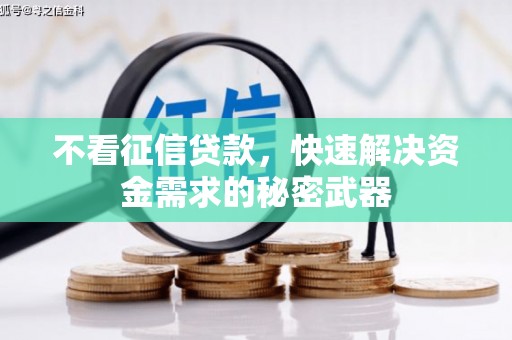 泰宁不看征信贷款，快速解决资金需求的秘密武器
