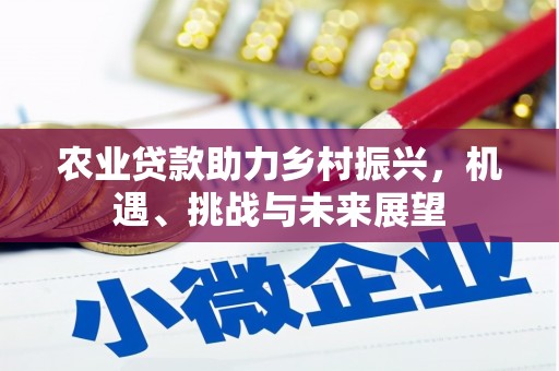 泰宁农业贷款助力乡村振兴，机遇、挑战与未来展望