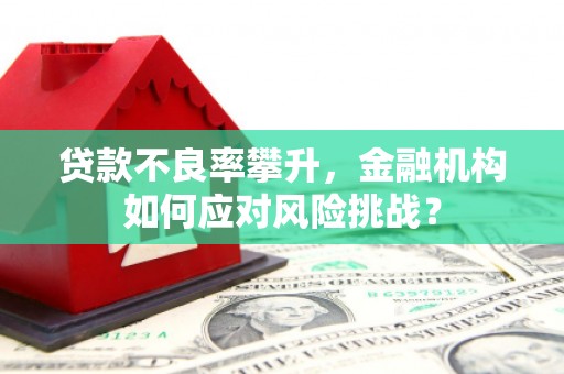 泰宁贷款不良率攀升，金融机构如何应对风险挑战？