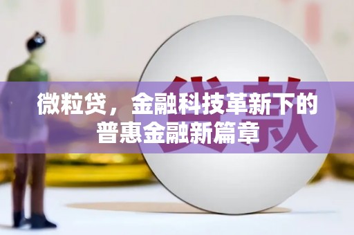 泰宁微粒贷，金融科技革新下的普惠金融新篇章