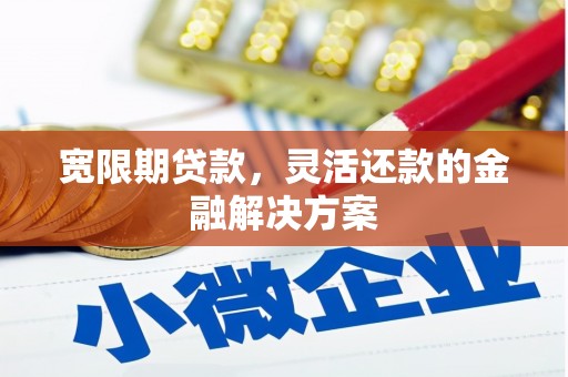 泰宁宽限期贷款，灵活还款的金融解决方案