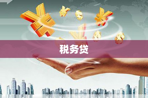 泰宁税务贷