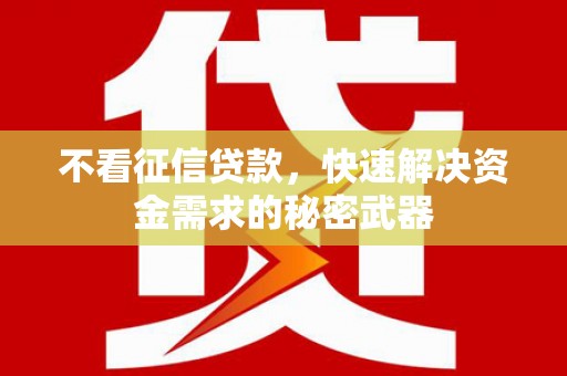 泰宁不看征信贷款，快速解决资金需求的秘密武器
