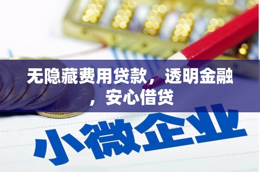 泰宁无隐藏费用贷款，透明金融，安心借贷
