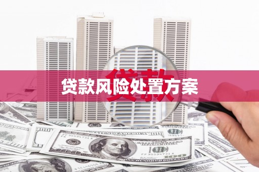 泰宁贷款风险处置方案