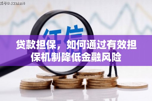 泰宁贷款担保，如何通过有效担保机制降低金融风险