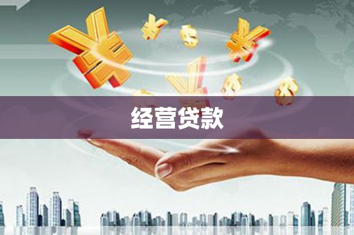 泰宁经营贷款