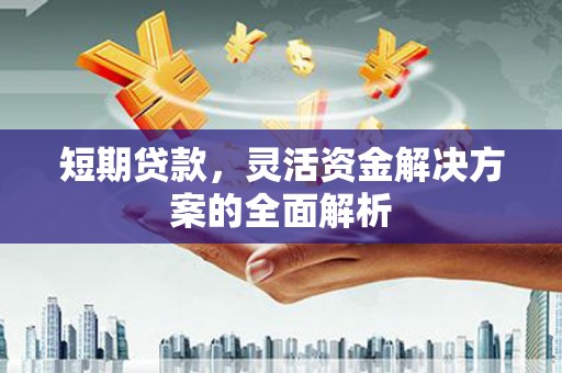 泰宁短期贷款，灵活资金解决方案的全面解析
