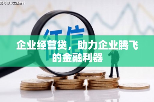 泰宁企业经营贷，助力企业腾飞的金融利器