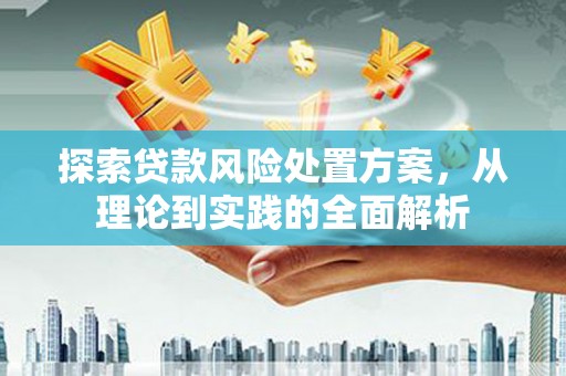 泰宁探索贷款风险处置方案，从理论到实践的全面解析