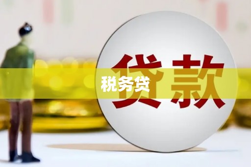 泰宁税务贷
