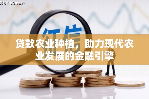 泰宁贷款农业种植，助力现代农业发展的金融引擎