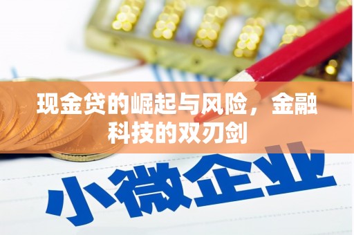 泰宁现金贷的崛起与风险，金融科技的双刃剑