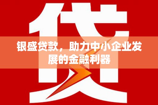 泰宁银盛贷款，助力中小企业发展的金融利器