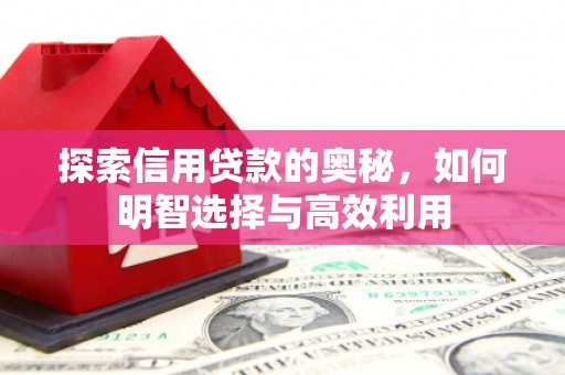 泰宁探索信用贷款的奥秘，如何明智选择与高效利用