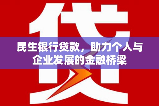 泰宁民生银行贷款，助力个人与企业发展的金融桥梁