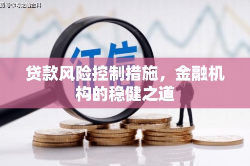 泰宁贷款风险控制措施，金融机构的稳健之道