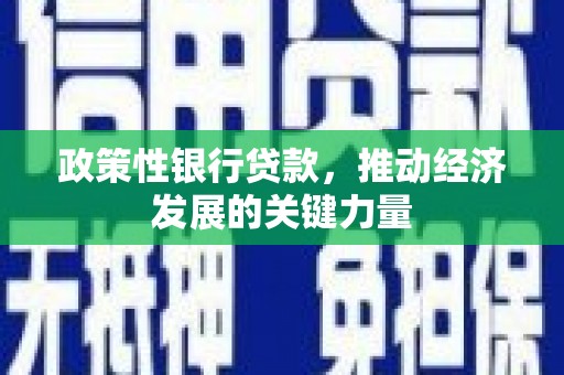 泰宁政策性银行贷款，推动经济发展的关键力量