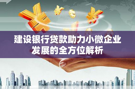 泰宁建设银行贷款助力小微企业发展的全方位解析