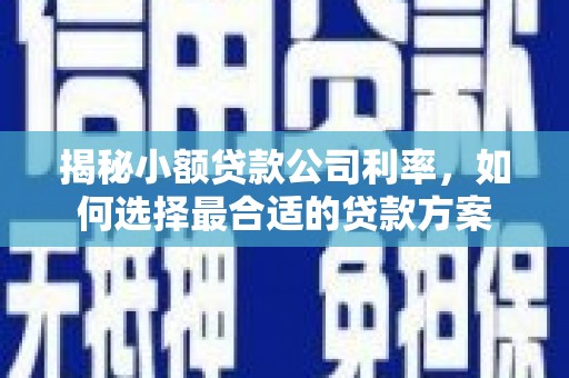 泰宁揭秘小额贷款公司利率，如何选择最合适的贷款方案