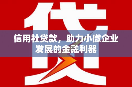 泰宁信用社贷款，助力小微企业发展的金融利器