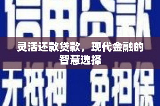 泰宁灵活还款贷款，现代金融的智慧选择