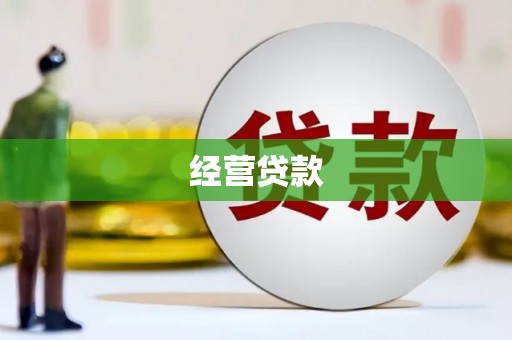 泰宁经营贷款
