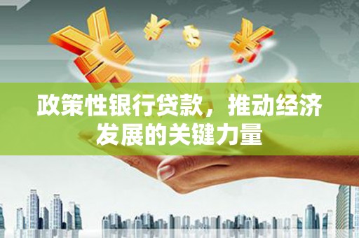 泰宁政策性银行贷款，推动经济发展的关键力量