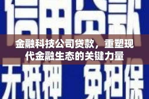 泰宁金融科技公司贷款，重塑现代金融生态的关键力量