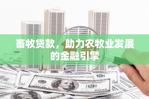 泰宁畜牧贷款，助力农牧业发展的金融引擎