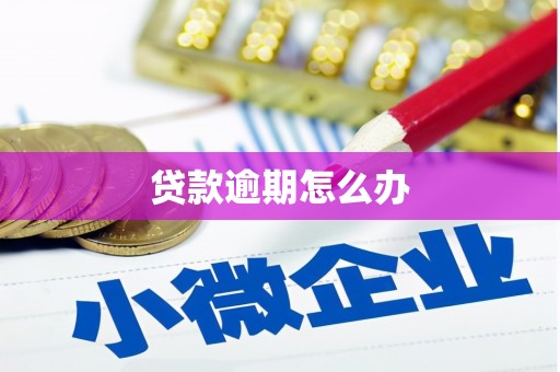 泰宁贷款逾期怎么办