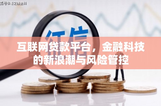 泰宁互联网贷款平台，金融科技的新浪潮与风险管控