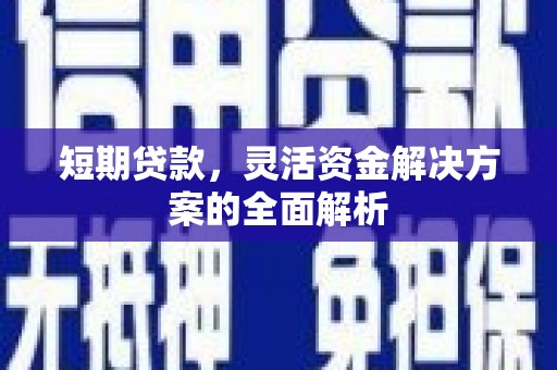 泰宁短期贷款，灵活资金解决方案的全面解析