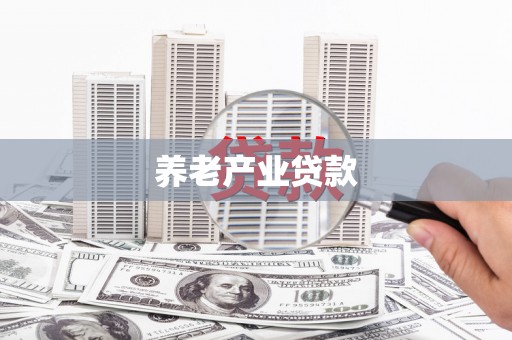 泰宁养老产业贷款