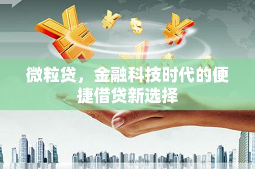 泰宁微粒贷，金融科技时代的便捷借贷新选择