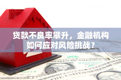泰宁贷款不良率攀升，金融机构如何应对风险挑战？