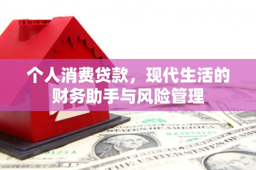 泰宁个人消费贷款，现代生活的财务助手与风险管理