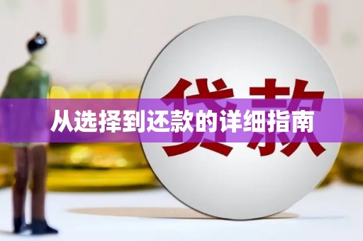 泰宁从选择到还款的详细指南