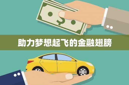 泰宁助力梦想起飞的金融翅膀